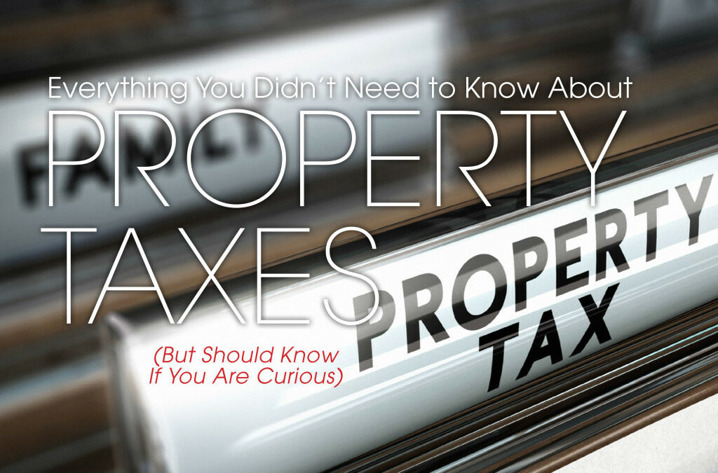 Everything You Didn’t Need To Know About Property Taxes